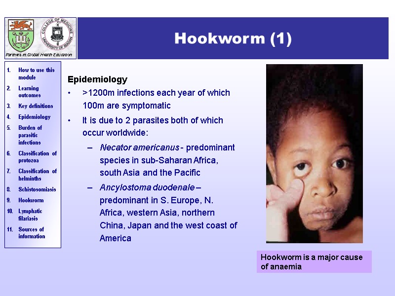 Hookworm (1)  Epidemiology >1200m infections each year of which 100m are symptomatic It